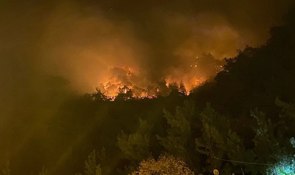 Bartın’da orman yangını: 4 kişi gözaltına alındı