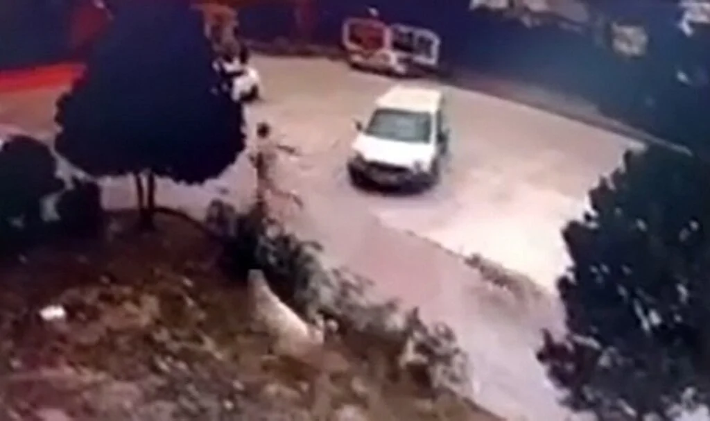 Başakşehir'de sokak köpeklerinin bir adamı kovaladığı anlar kamerada