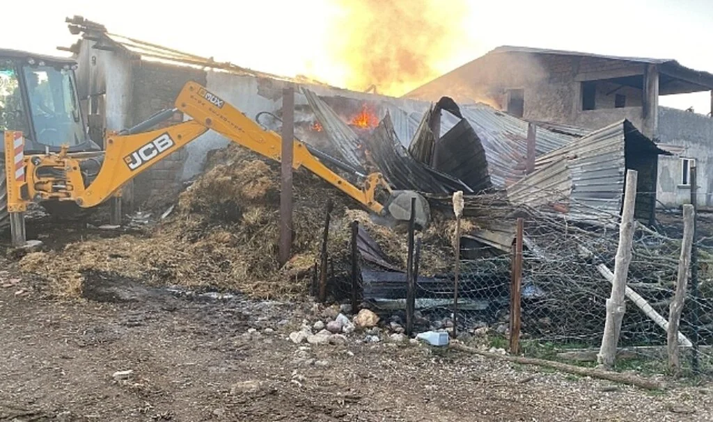 Çanakkale’de samanlık yangını: 6 inek telef oldu