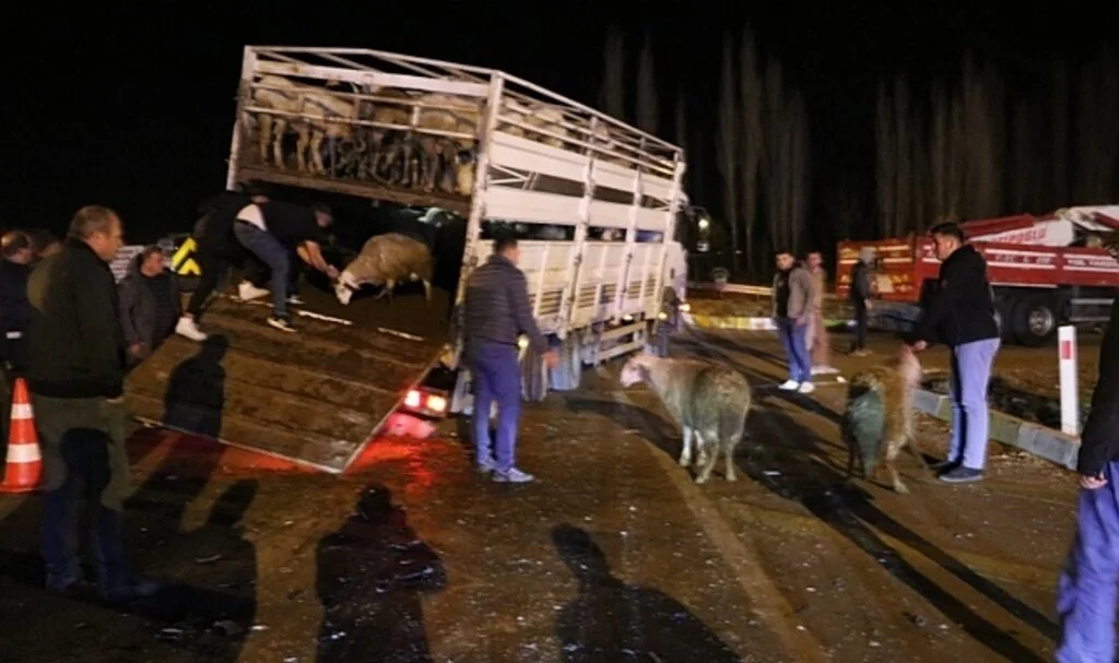 Canlı Hayvan Yüklü Kamyonetle Çarpışan Otomobilde 2 Kişi Yaralandı