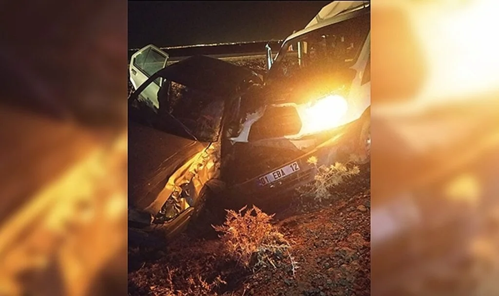 Çarpışan iki araç şarampole uçtu: 2 yaralı
