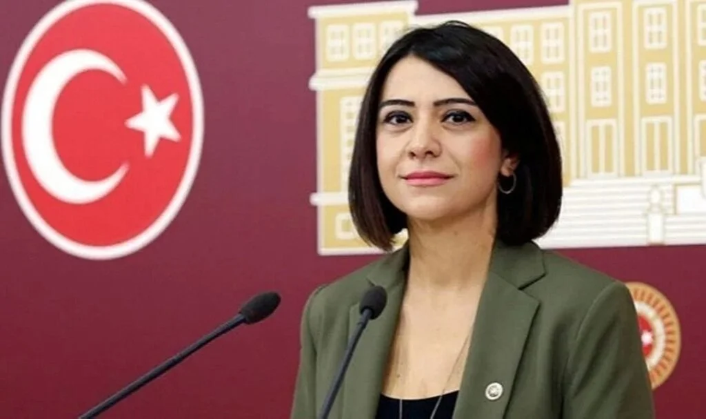 CHP'li Gamze Taşcıer: Kreş Yönetmeliği Uygulanmıyor