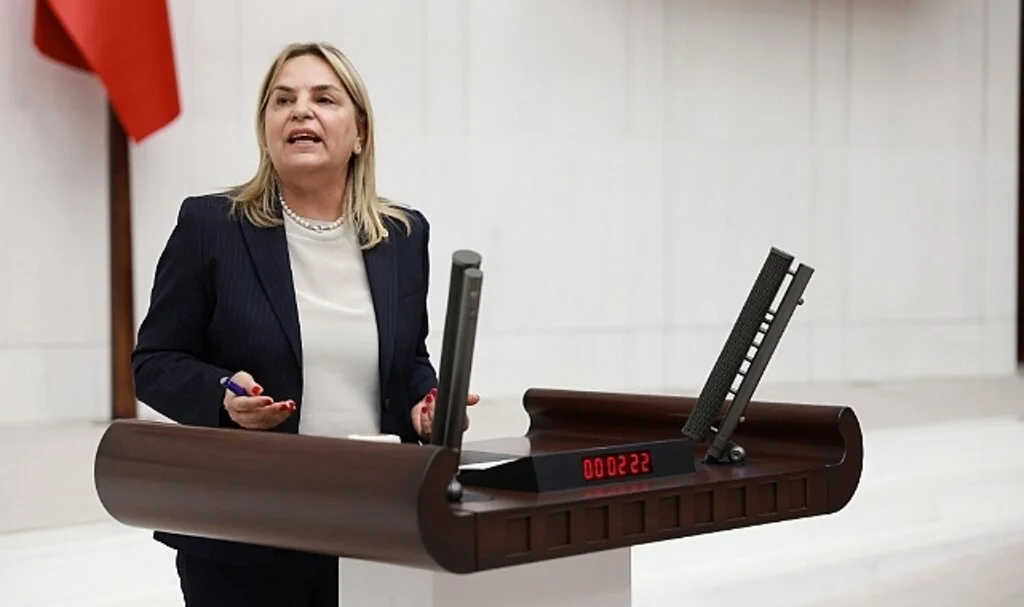 CHP Samsun Milletvekili Neslihan Hancıoğlu: Dört Kadından biri Şiddet Mağduru 