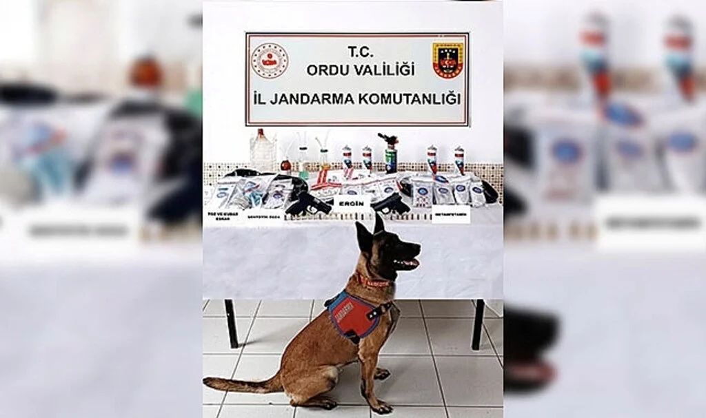 Dedektör köpek  zulayı patlattı 