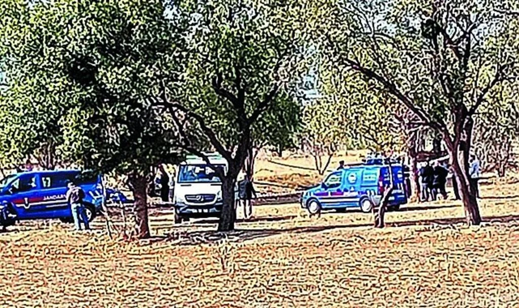 Denizli'de ağaçtan düşen yaşlı adam öldü