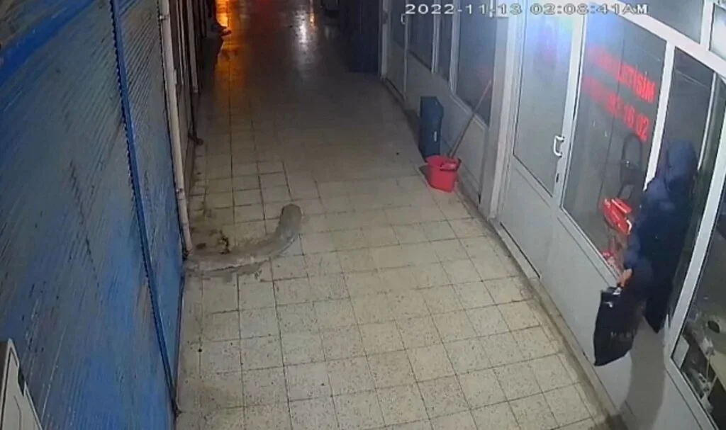 Dükkana pencereden giren hırsız, poşet dolusu cep telefonu çaldı