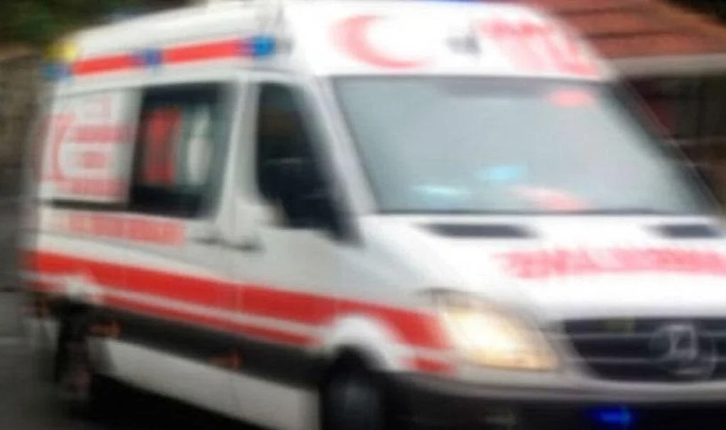 Eşinin kestiği dal sonu oldu