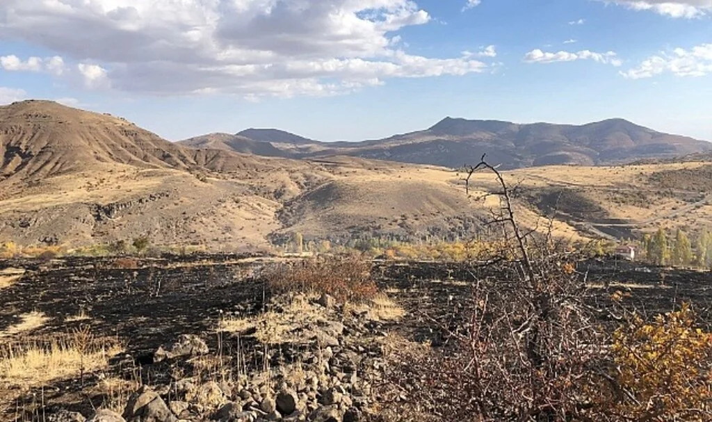 Hekimhan’da arazi yangını: 8 dönüm zarar gördü