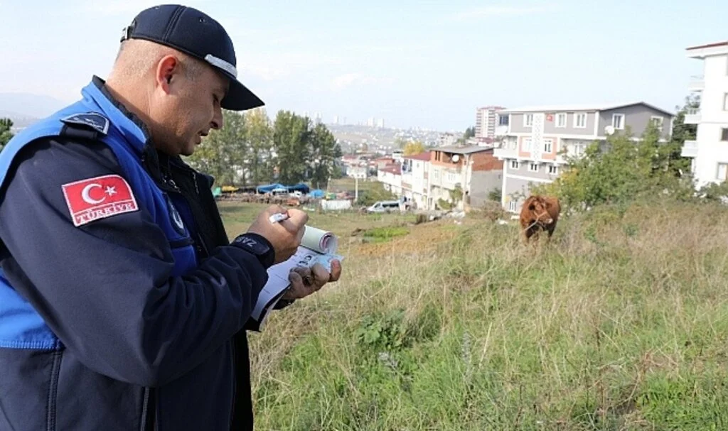 İlkadım’da zabıtadan ahırlara denetim