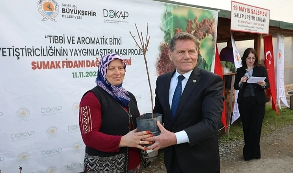 Karadeniz’in İlk ‘Sumak’ Bahçeleri Samsun’da Kurulacak