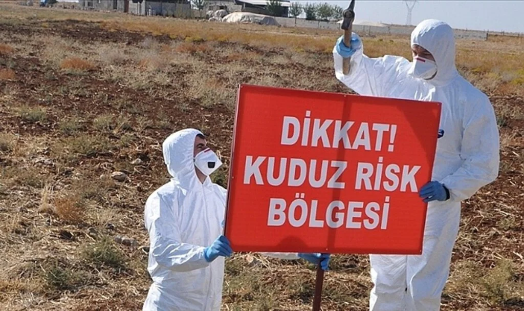 Kars'ta Bir Köy Kuduz Nedeniyle Karantinaya Alındı