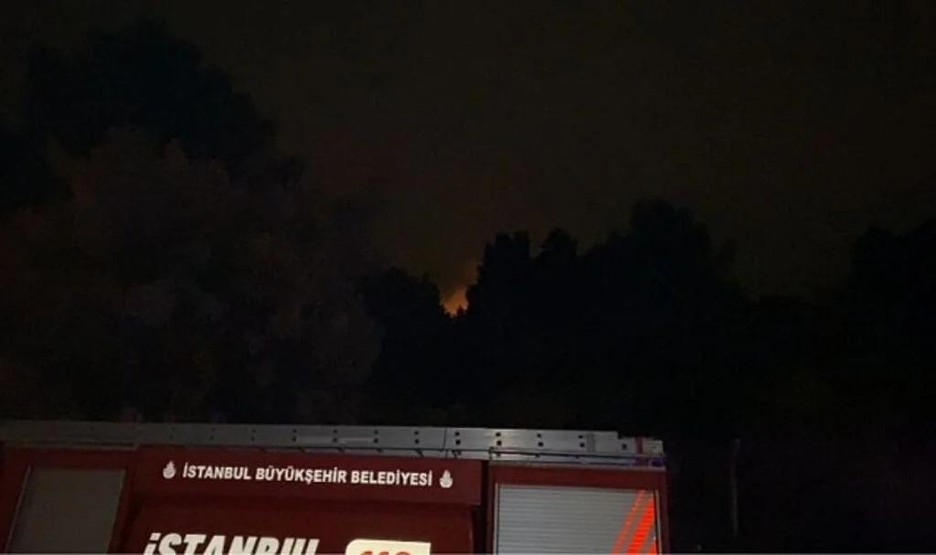 Kartal Aydos Ormanı'nda çıkan yangın söndürüldü