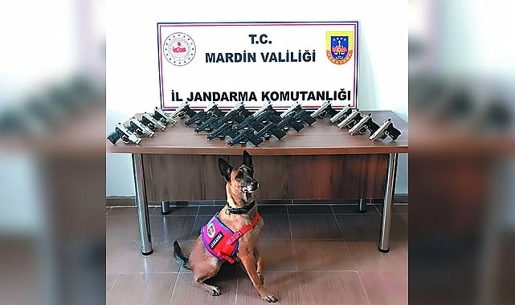 Mardin’de araçtan 25 adet ruhsatsız silah çıktı