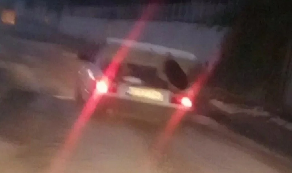 Otomobil bagajındaki tehlikeli yolculuk pes dedirtti