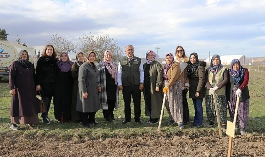 Samsun'da 150 Bin Lale Soğanı Toprakla Buluştu