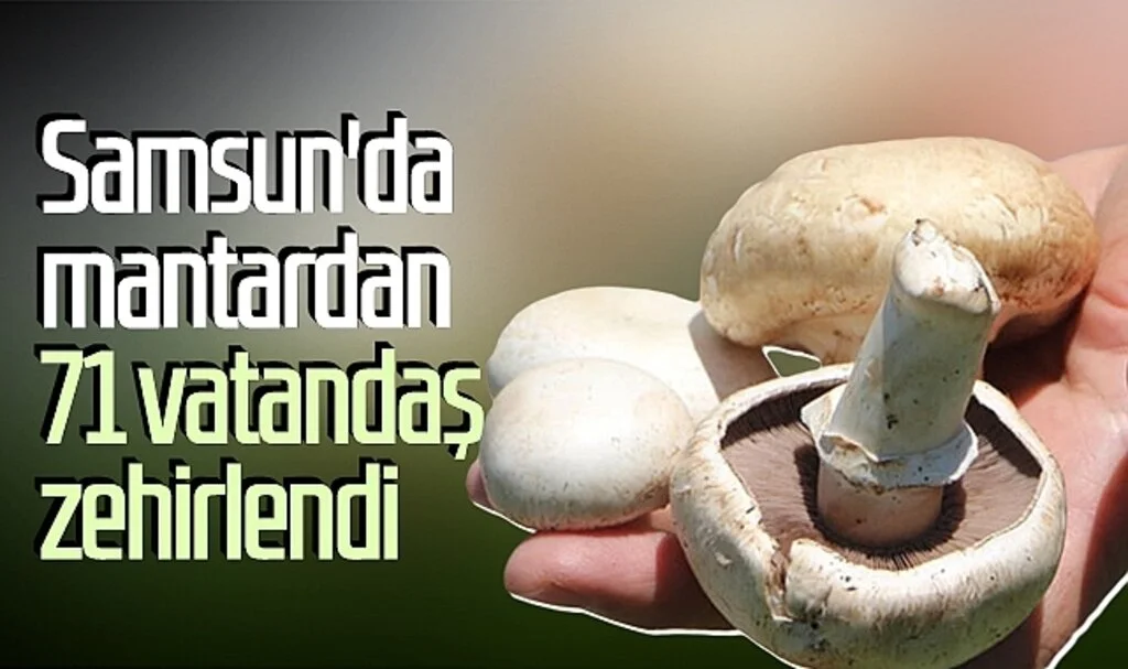 Samsun'da mantardan 71 vatandaş zehirlendi