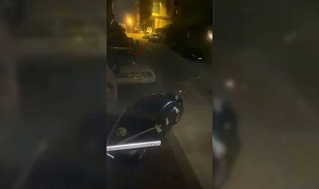 Sert kayaya çarpan oto faresi arkasına bakmadan kaçtı