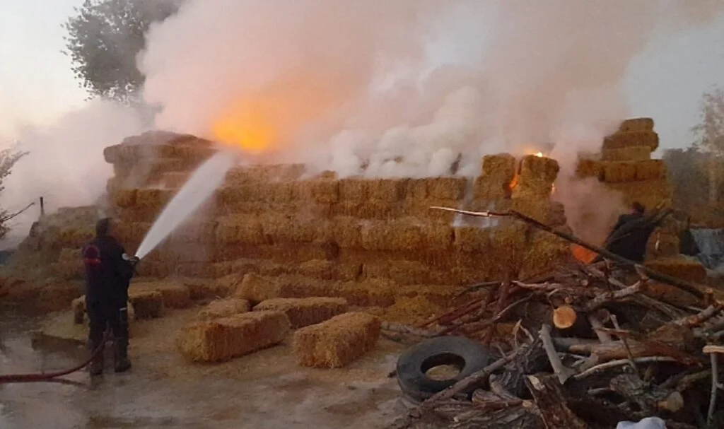Suluova’da 50 ton saman alevlere teslim oldu