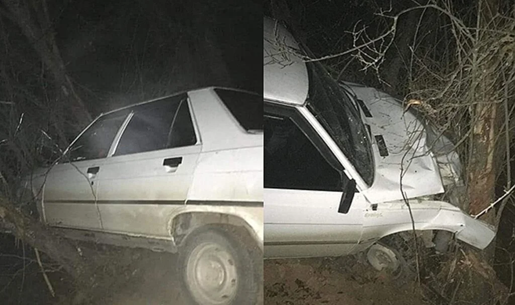 Yoldan çıkan otomobil ağaçlara çarparak durabildi: 1 yaralı