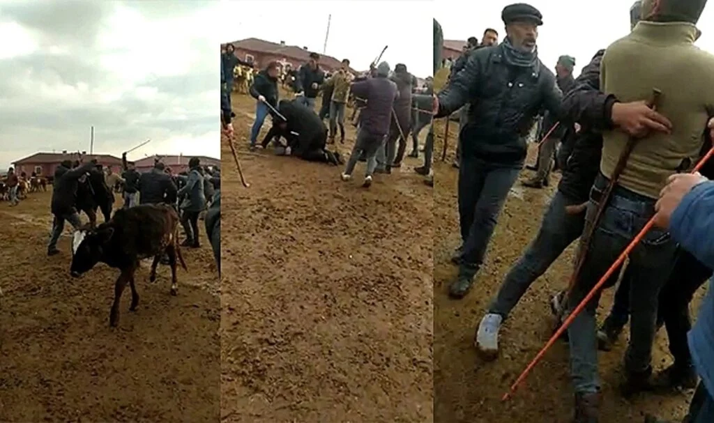 Ağrı Canlı Hayvan Pazarı'nda sopalı kavga: 4 yaralı