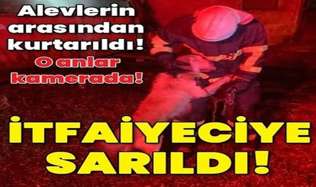 Alevlerin arasından kurtarıldı! İtfaiyeciye sarıldı!
