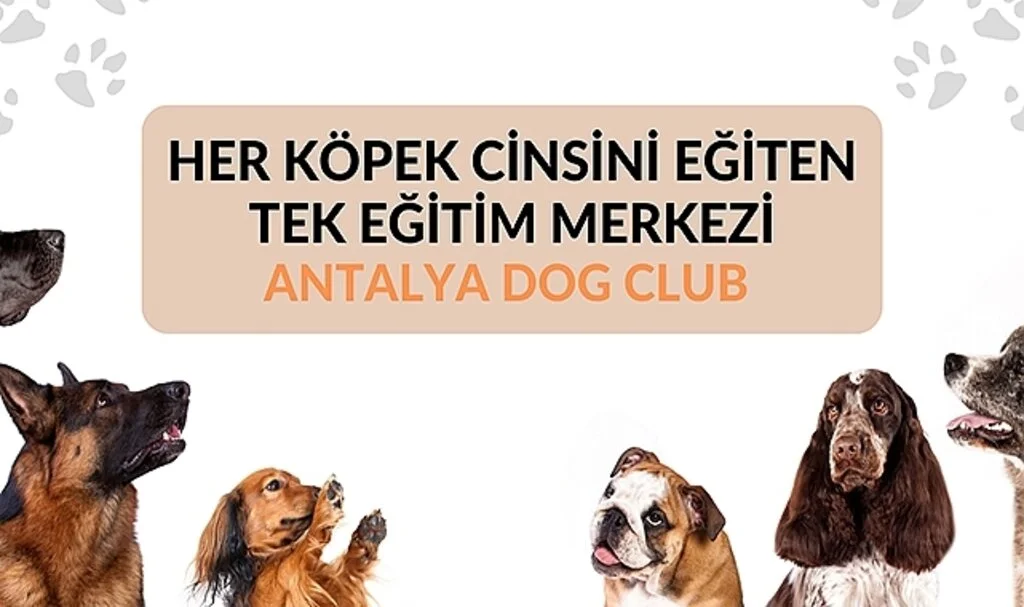 Antalya’da En İyi Köpek Eğitim Çiftliği