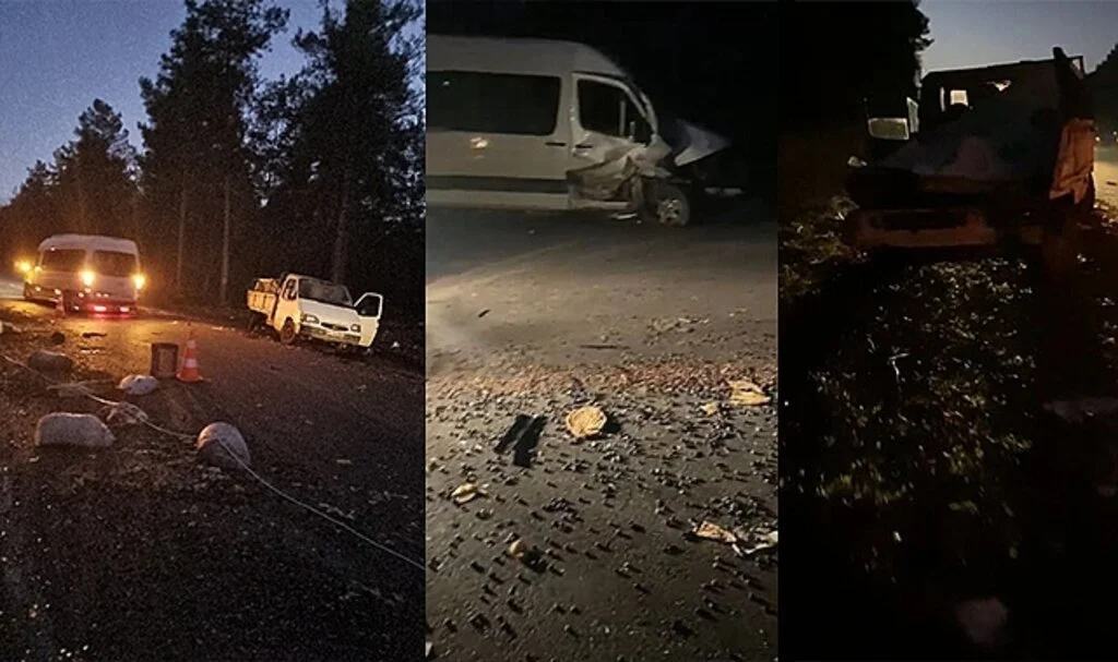 Arızalanan kamyonetine bakarken minibüsün çarptığı adam hayatını kaybetti