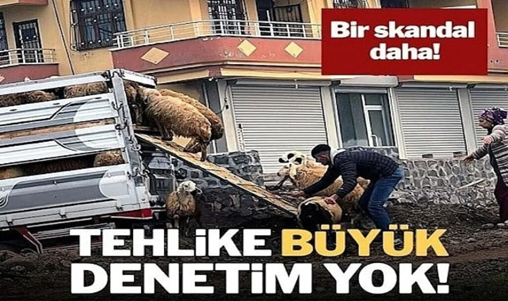 Bir skandal Daha! Tehlike Büyük, Denetim Yok…