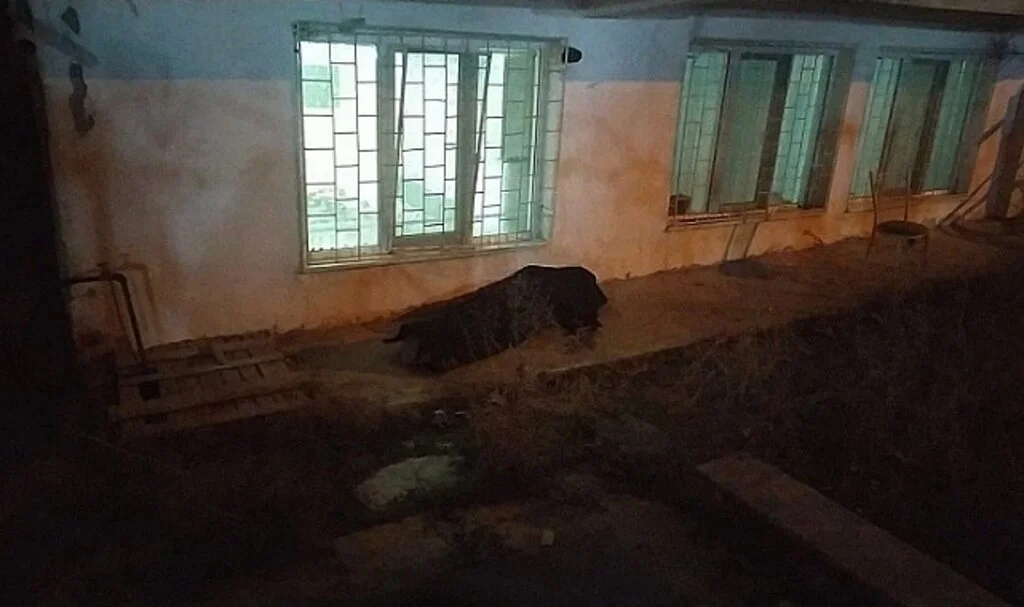 Boşanma Aşamasındaki Eşinin Evinin Önünde Canına Kıydı