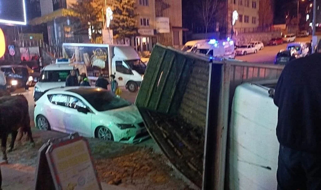 Büyükbaş hayvan yüklü kamyon devrildi