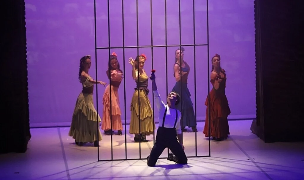 “CARMEN” Dans Ediyor