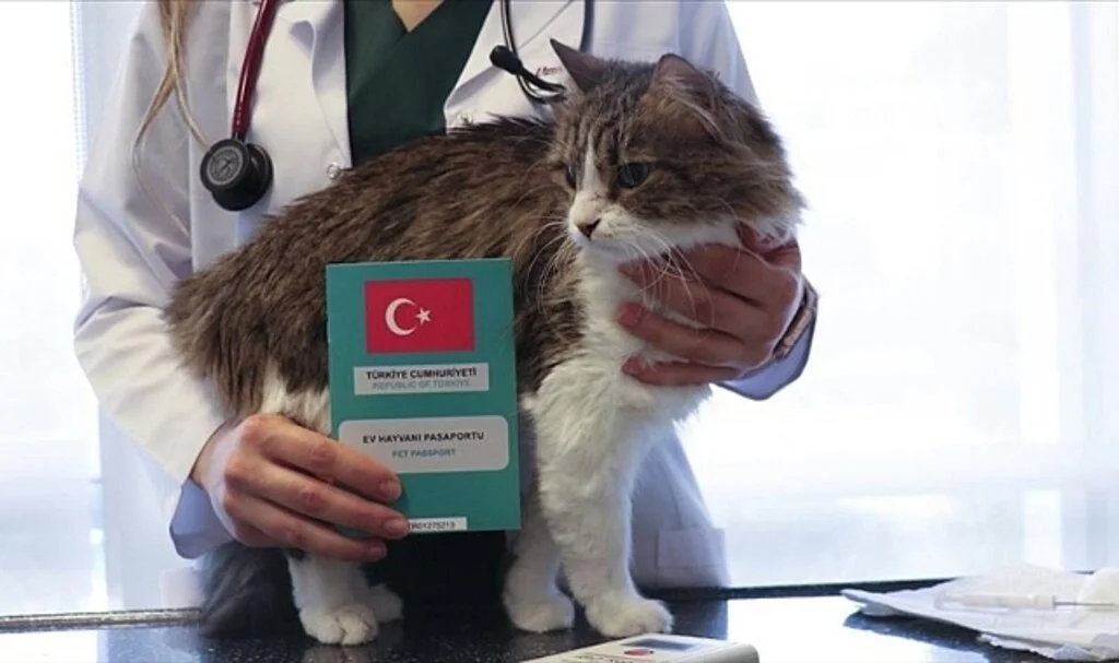 Ev Hayvanlarına Dijital Kimlik Uygulamasında Son 2 Haftaya Girildi