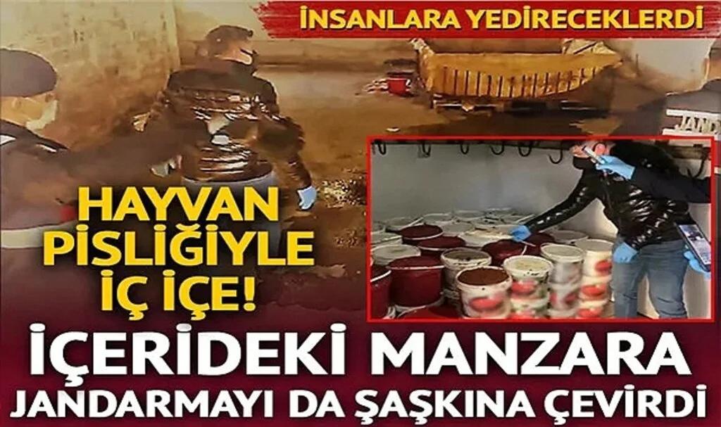 Görüntüler karşısında jandarma bile şaşkına döndü! Yine aynı işletmeci, yine mide bulandıran görüntüler