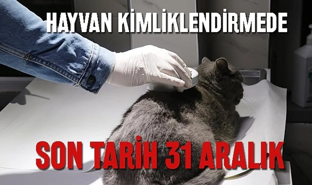 Hayvan Kimliklendirmede Son Tarih 31 Aralık