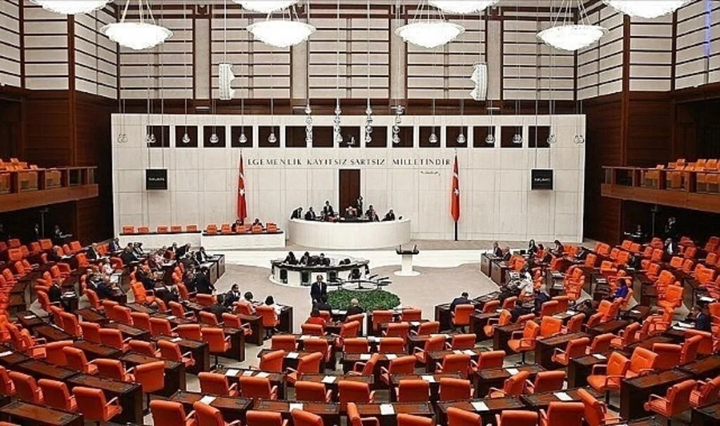Kadın milletvekilleri "seçme ve seçilme hakkı kazanmaları"nı değerlendirdi