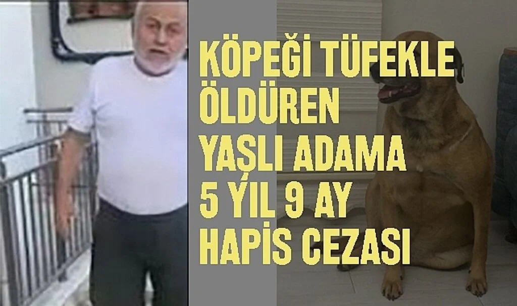 Köpeği Tüfekle Öldüren Yaşlı Adama 5 Yıl 9 Ay Hapis Cezası