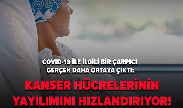 Koronavirüsün kanser hücrelerinin yayılımını hızlandırdığı ortaya çıktı