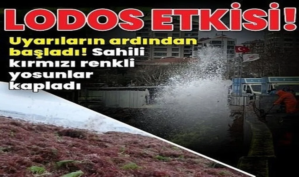 Lodos Bodrum'u fena vurdu, ev ve işyerleri sular altında kaldı