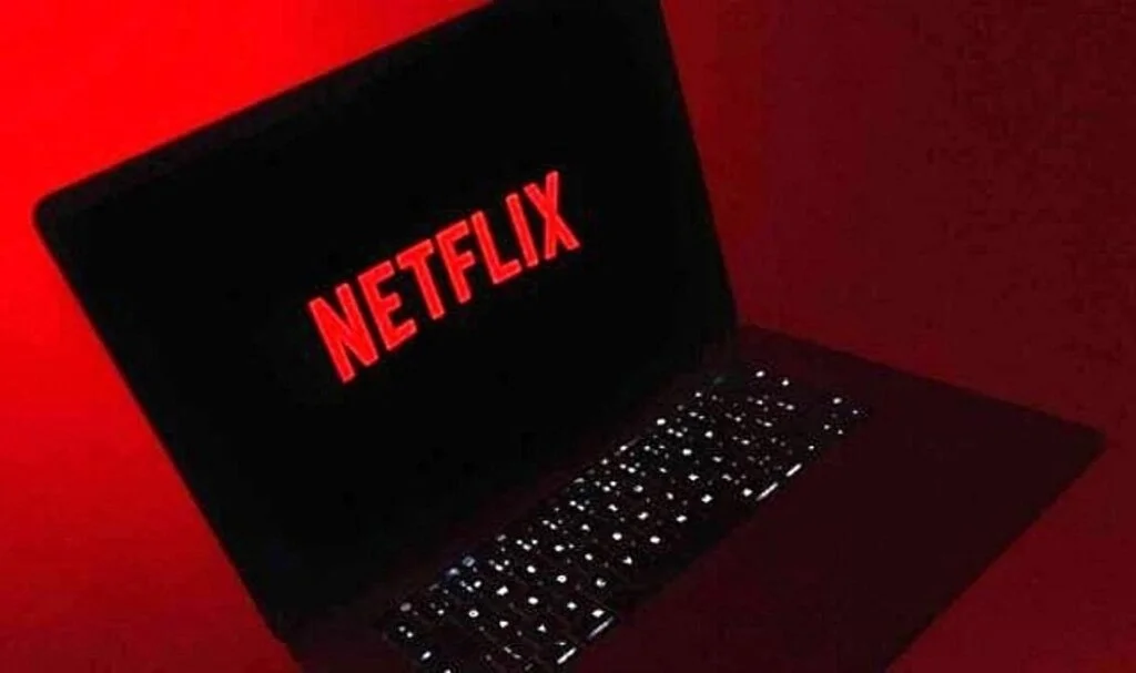 Netflix Şifresini Paylaşmak Artık Suç Sayılacak!
