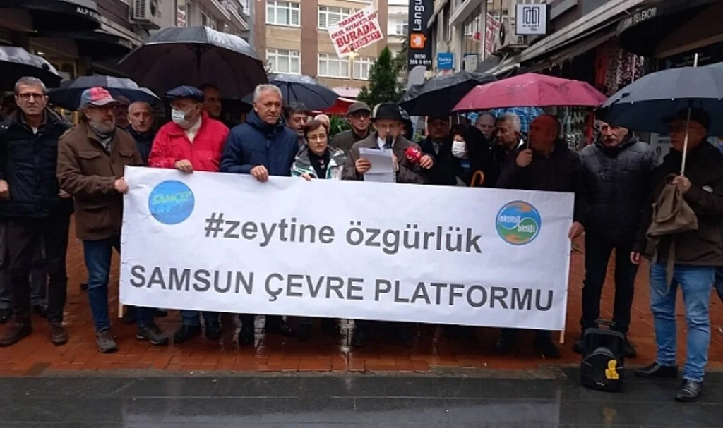 SAMÇEP ; 'Zeytinlikler Yok Olacak'