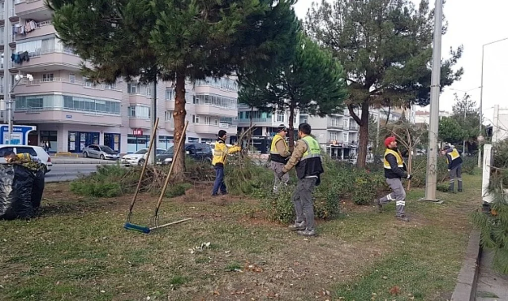 Samsun Büyükşehir Belediyesi'nden Ağaçlara 'Kış' Bakımı