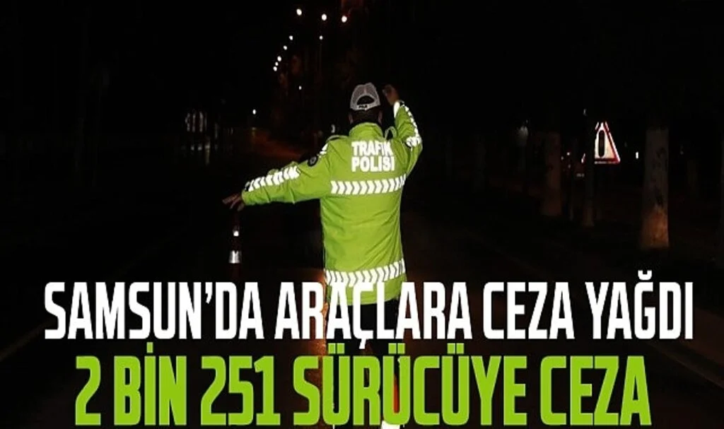 Samsun'da 2 Bin 251 Sürücüye Ceza, 205 Araca Trafikten Men