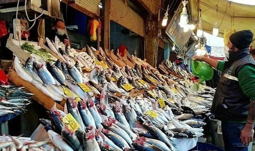 Samsun'da Balık Fiyatları