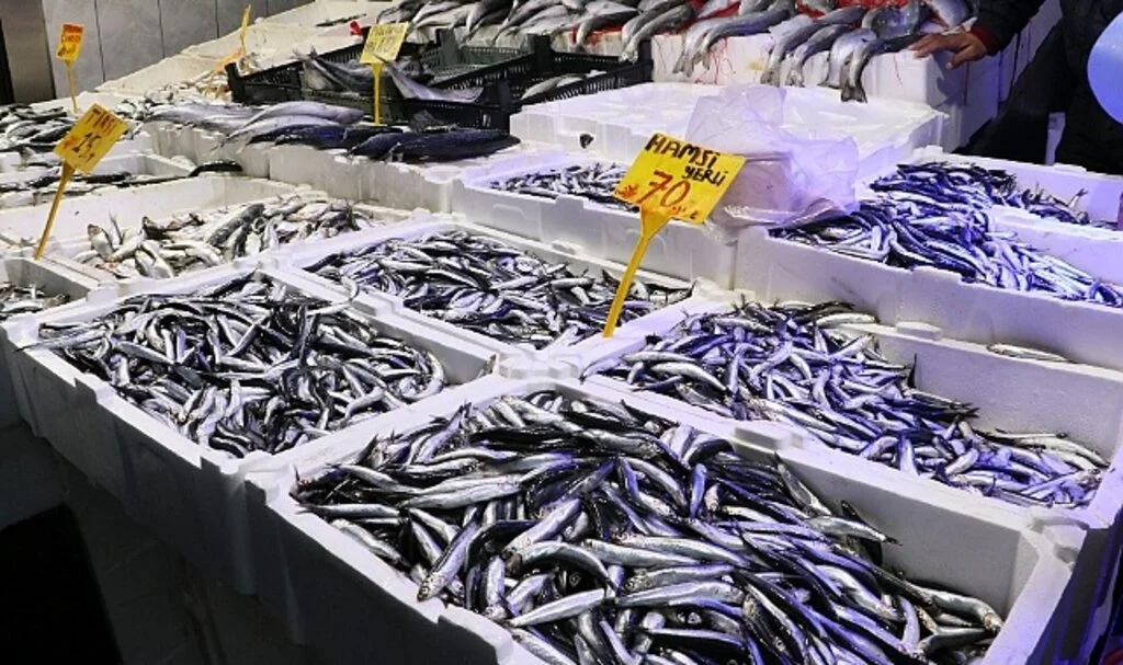 Samsun'da Hamsi 70 Liraya Çıktı 