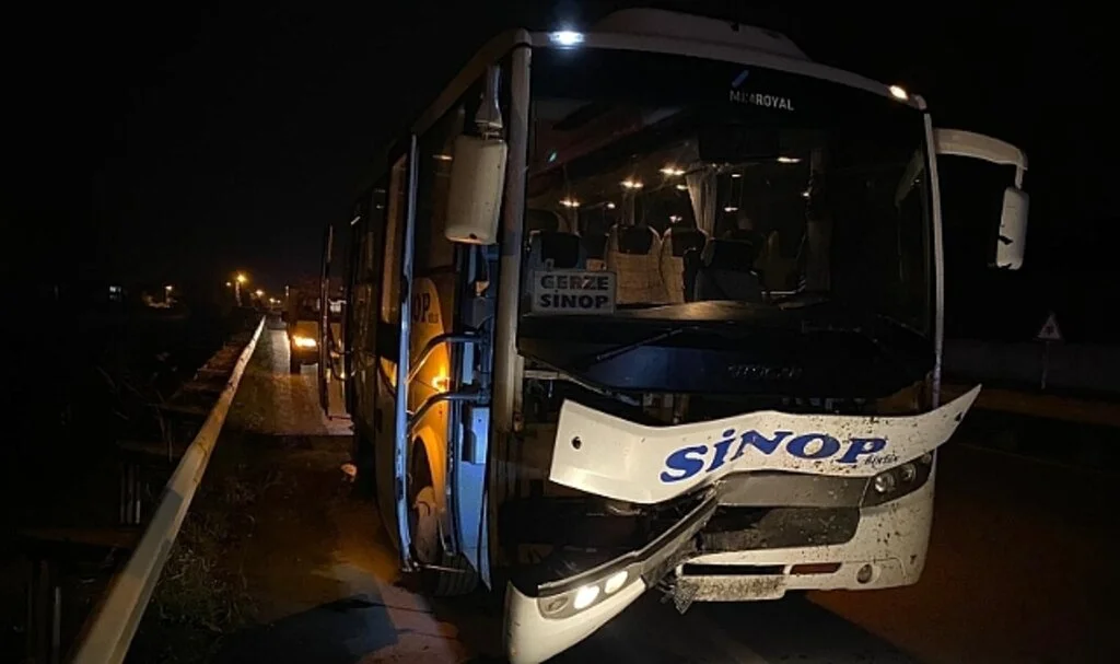 Samsun'da Yolcu Otobüsünün Çarptığı İnek Telef Oldu