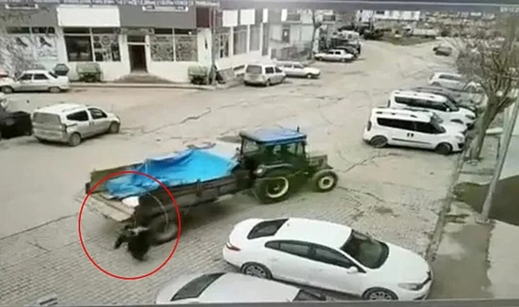 Sinop'ta Geri Giden Römork Takılı Traktör Yaşlı Kadına Çarptı