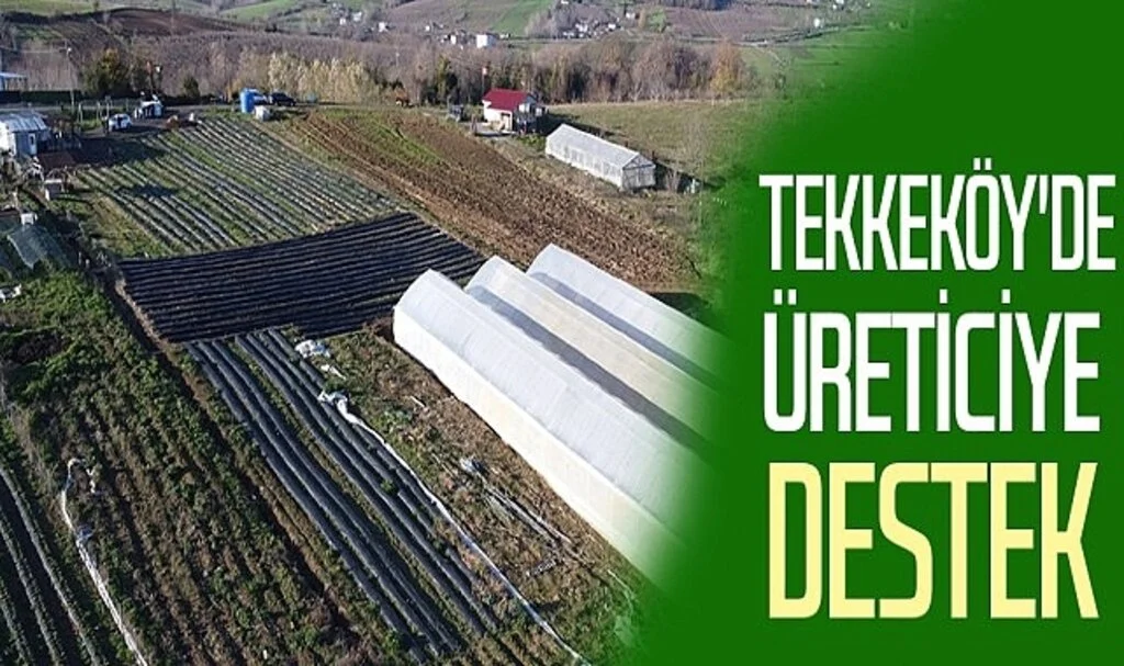 Tekkeköy'de Üreticiye Destek