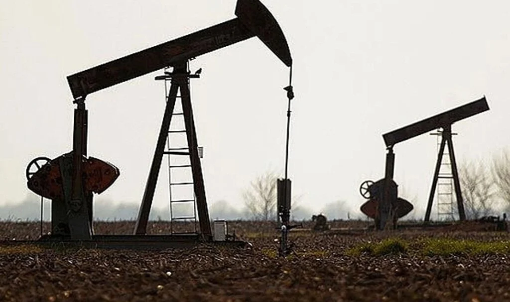  Türkiye'deki mevcut rezervin 2 katı petrol bulundu! Müjdeyi Cumhurbaşkanı Erdoğan açıklayacak