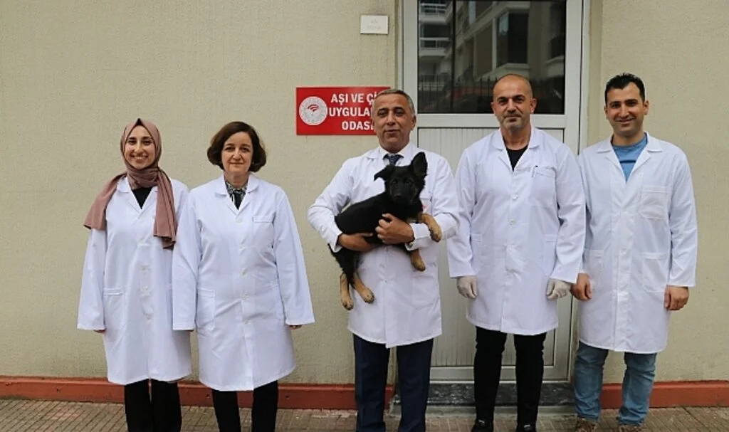 29 Bin 891 Evcil  Hayvan Kayıt Altında 
