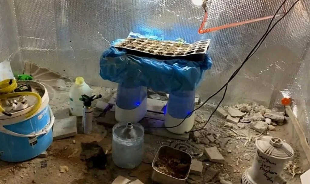 Alüminyum Folyolu Özel Odada Buhar Makinesi İle Kenevir Üretimi
